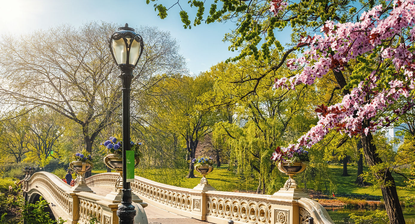 Verlobung im Central Park New York