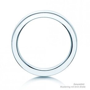 Modell Infinity