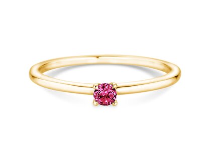 Geburtsstein-Ring Classic 4 Januar in 14K Gelbgold mit Granat 0,10ct