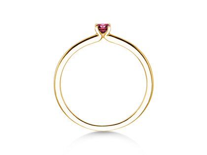 Geburtsstein-Ring Classic 4 Januar in 14K Gelbgold mit Granat 0,10ct