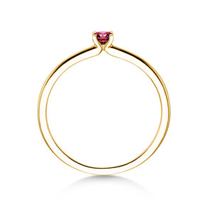 Geburtsstein-Ring Classic 4 Januar in 14K Gelbgold mit Granat 0,10ct