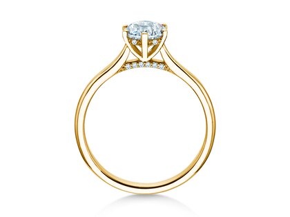 Verlobungsring Classic 6 Hidden Halo in Gelbgold