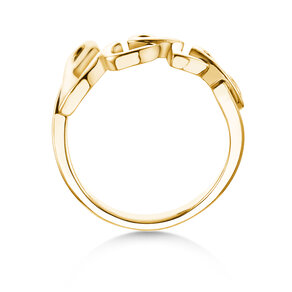Ring Love Clean in 14K Gelbgold poliert