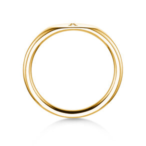 Ring Signet in 14K Gelbgold poliert