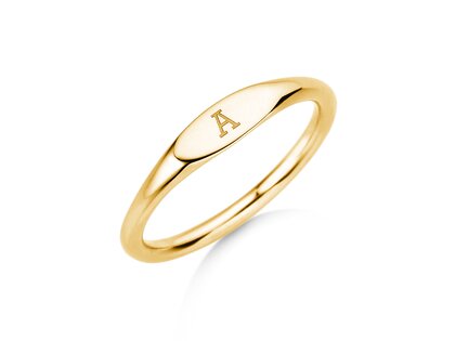 Ring Signet in 14K Gelbgold poliert