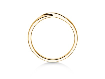 Verlobungsring Spin 2mm in 14K Gelbgold poliert